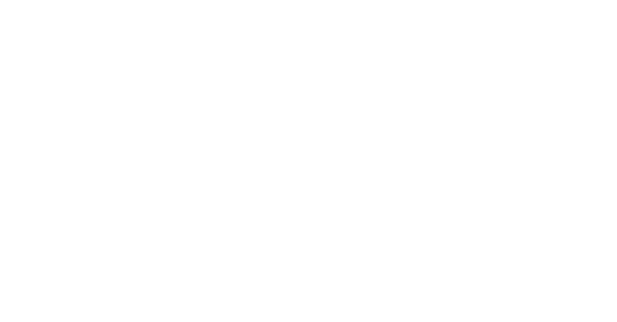 Pioneer Missions Africa
