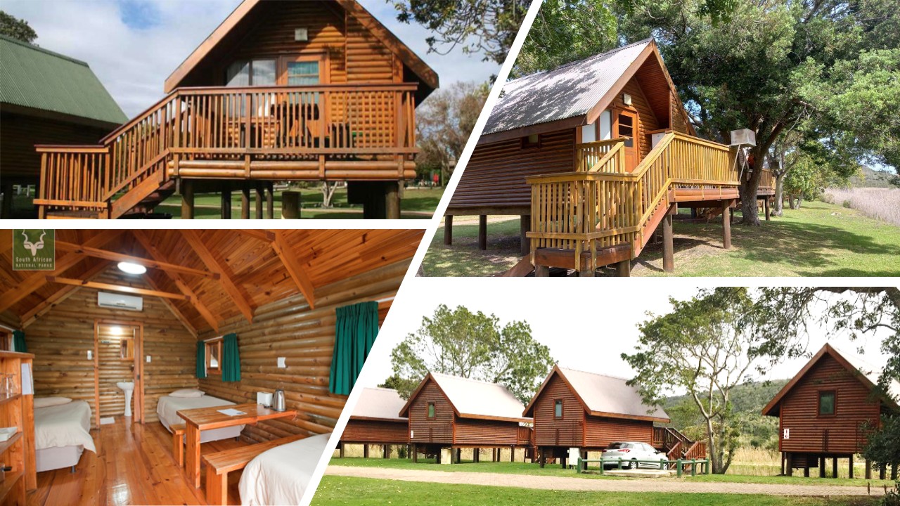 Forest Cabin